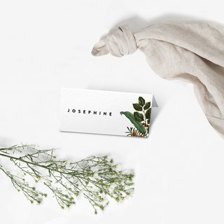 Tropical Fauna Place Card